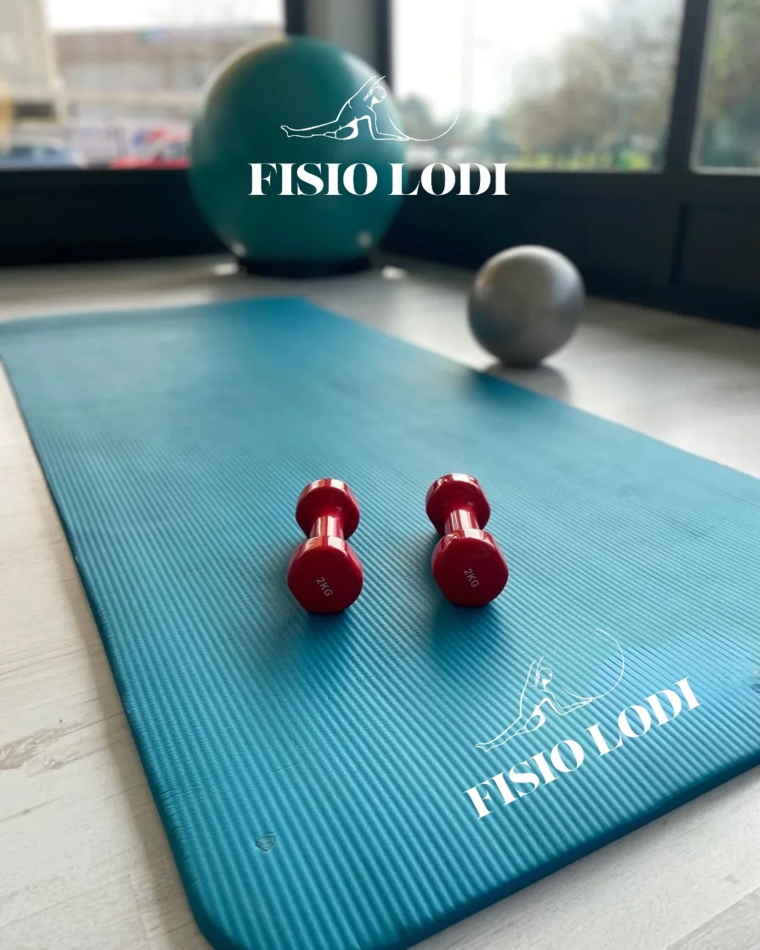 La palestra attrezzata di Fisio Lodi